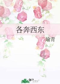 墙布和墙纸相比，哪个更划算适用？档次不同价钱不同吗？游戏画面